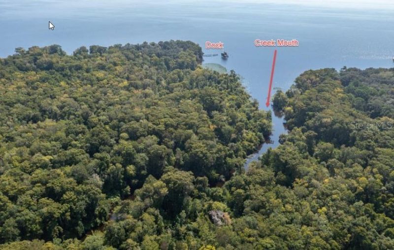 254 St Johns Drive, Palatka, FL 32177 Photo