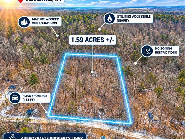 448 MAVERICK TRAIL, HEDGESVILLE, WV 25427