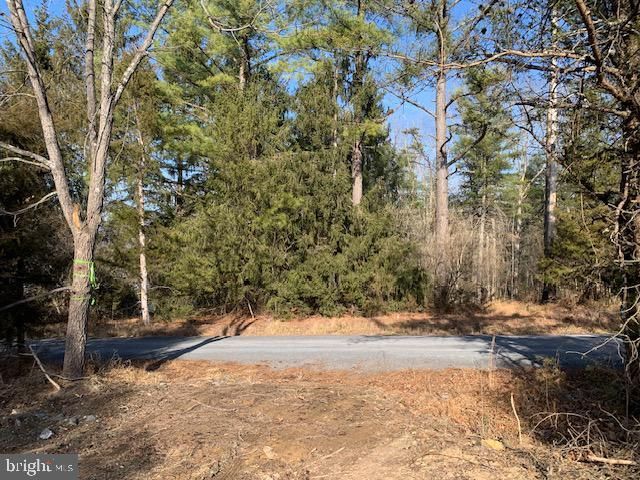 0 Supinlick Ridge Road, Mount Jackson, VA 22842 Main Photo