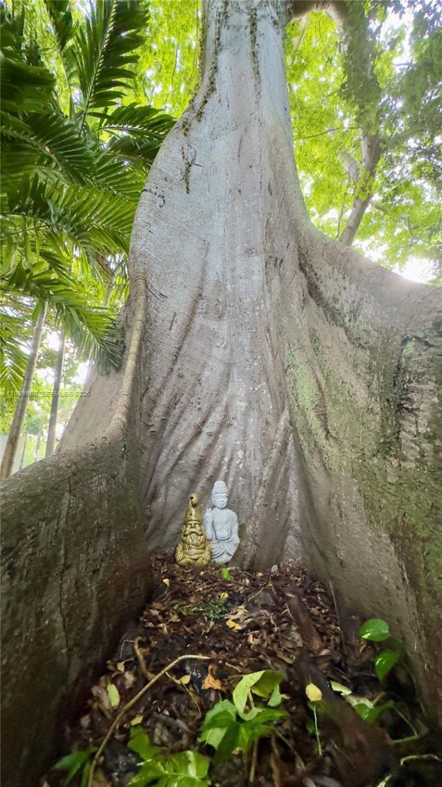 770 NE 69th St, Unit 6F, Miami, FL 33138 Photo