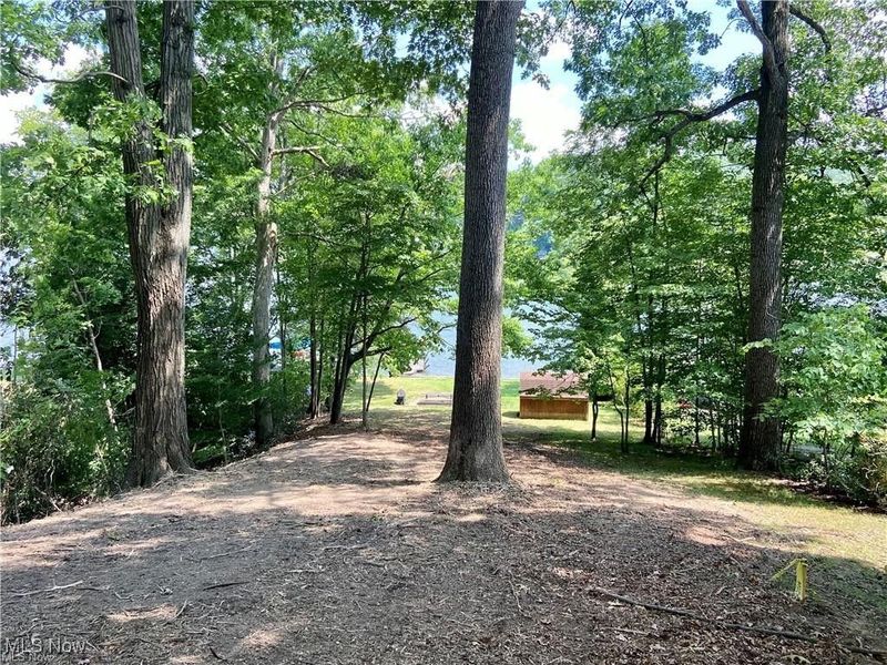 154 W Mohawk Drive, Malvern, OH 44644 Photo 8