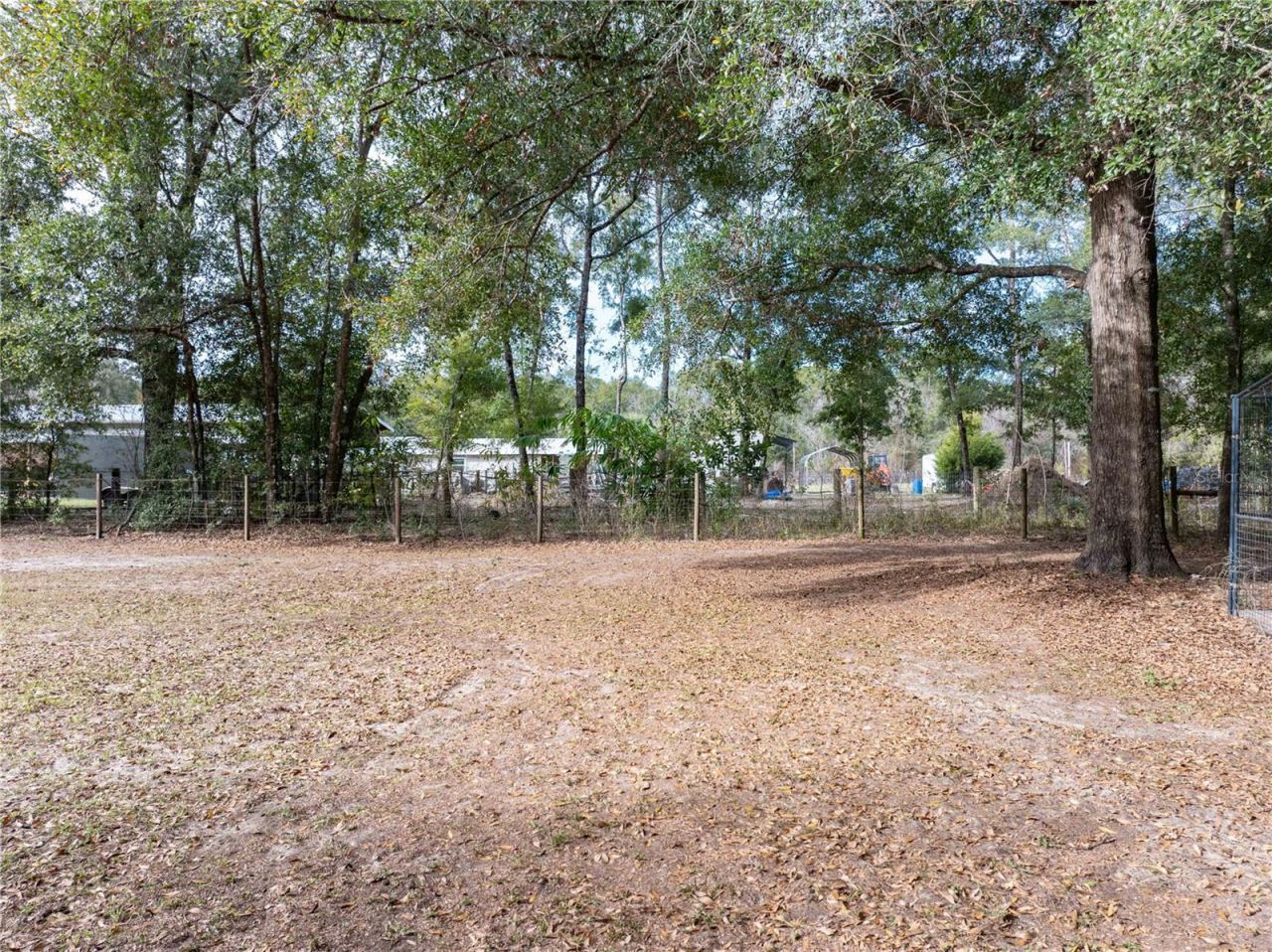 4113 288th Terrace, Branford, FL 32008 Photo