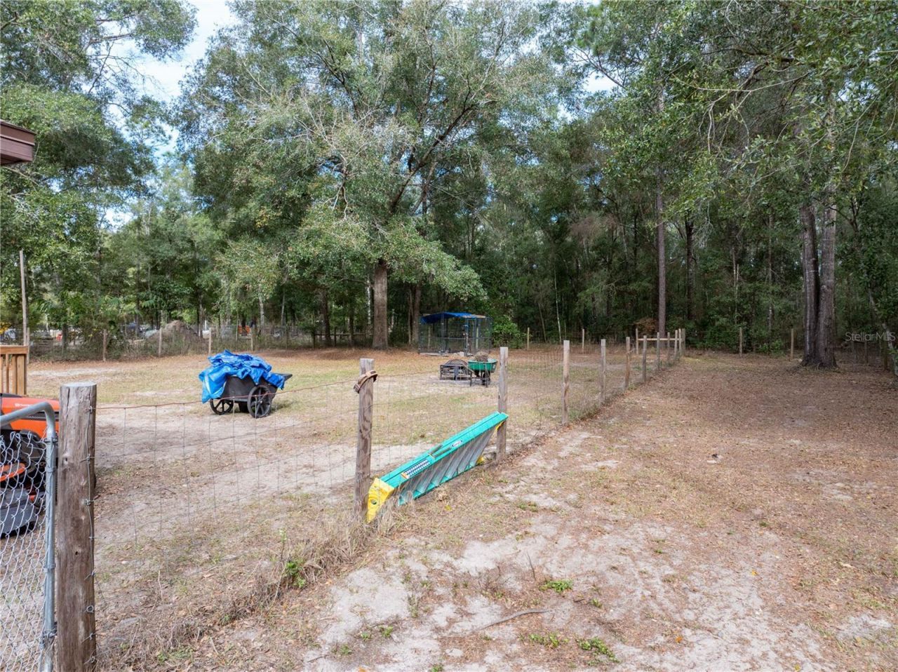 4113 288th Terrace, Branford, FL 32008 Photo