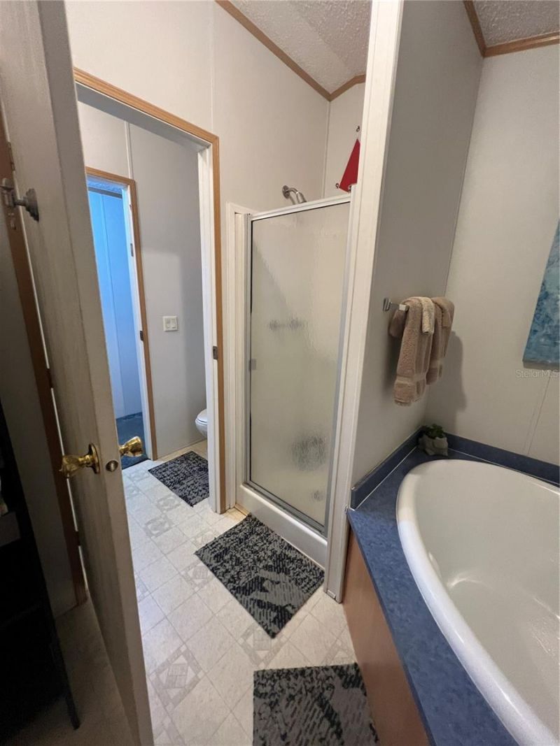 589 SW Cumorah Hill Street, Fort White, FL 32038 Photo