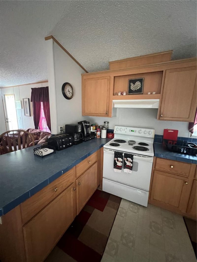 589 SW Cumorah Hill Street, Fort White, FL 32038 Photo