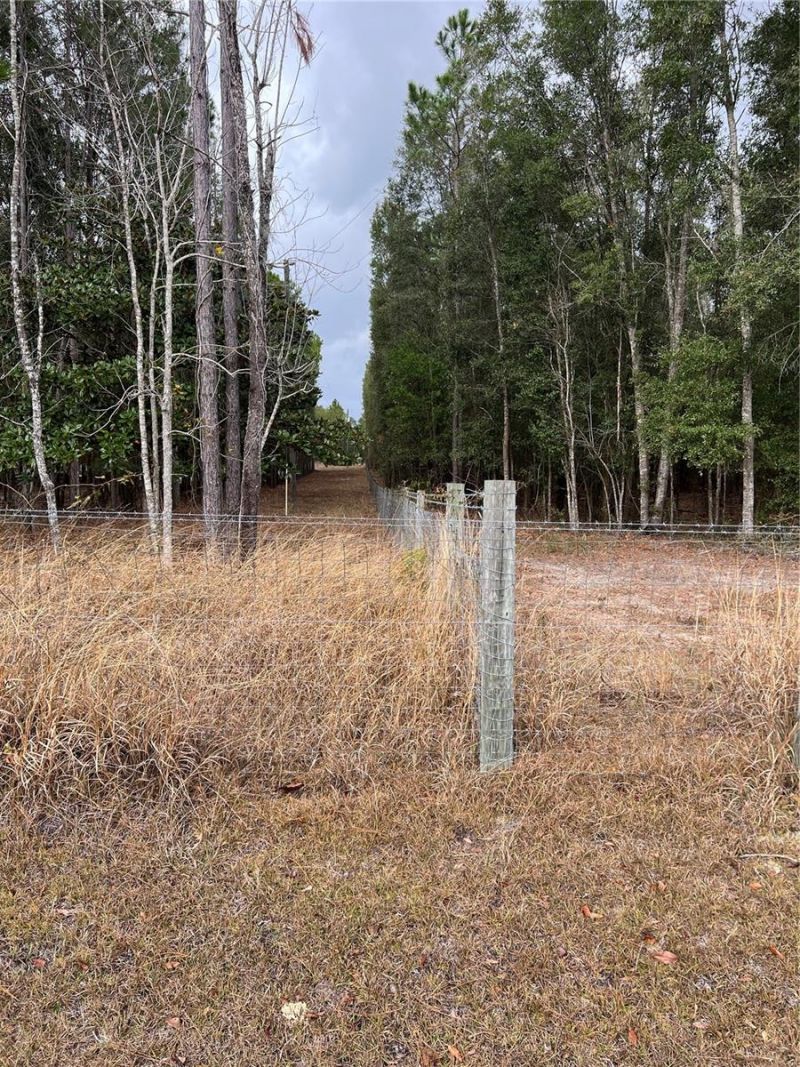 589 SW Cumorah Hill Street, Fort White, FL 32038 Photo