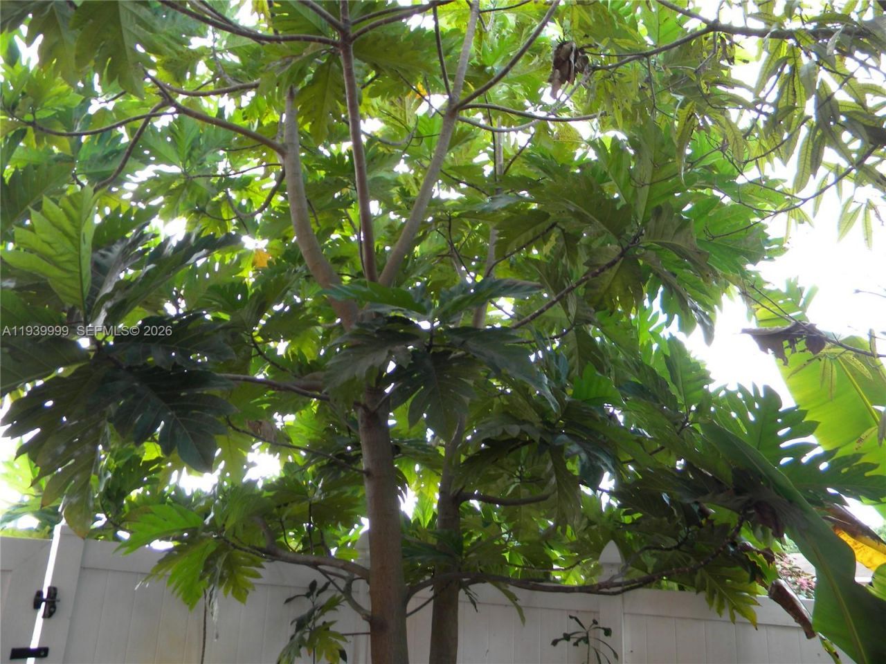 7527 SW 7th Ct, North Lauderdale, FL 33068 Photo