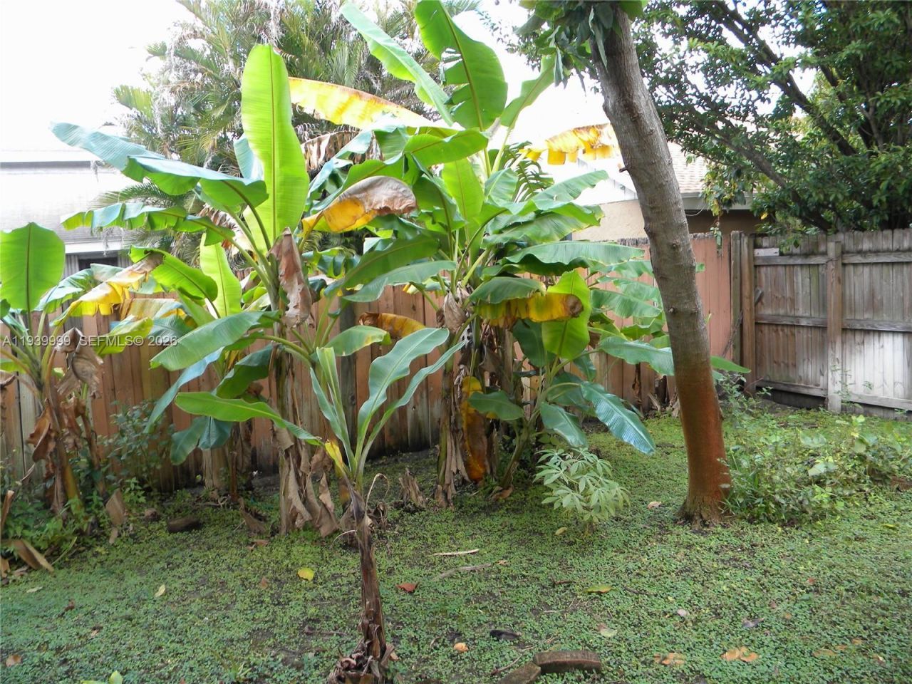 7527 SW 7th Ct, North Lauderdale, FL 33068 Photo