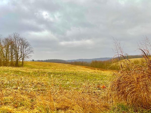 0 St. Rt. 772, Piketon, OH 45661