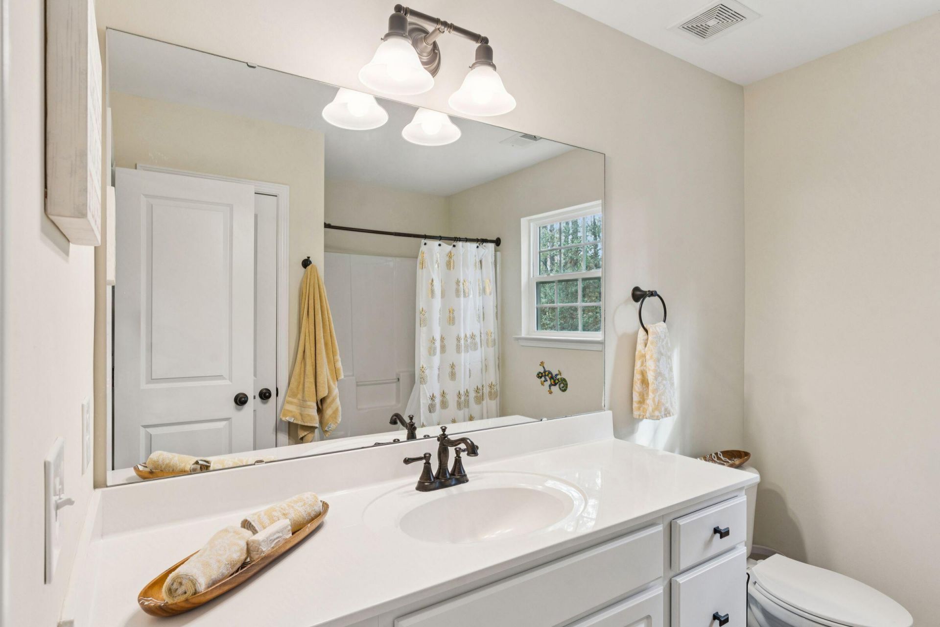 6530 Pepper Grass Trail Photo 51