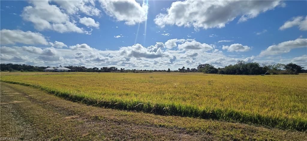 2029 Silk Bay Blvd, Alva, FL 33920 Photo