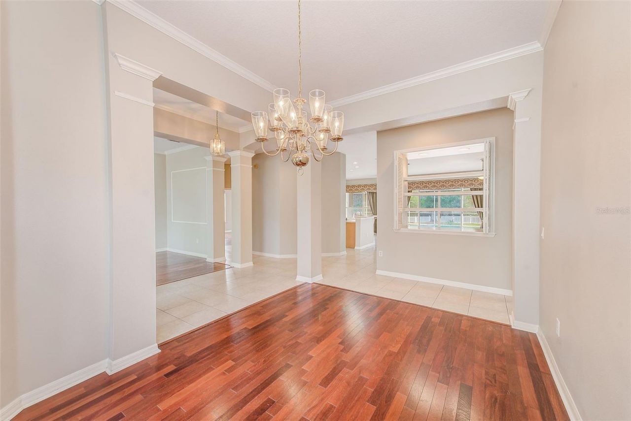 5516 Garden Arbor Drive, Lutz, FL 33558 Photo