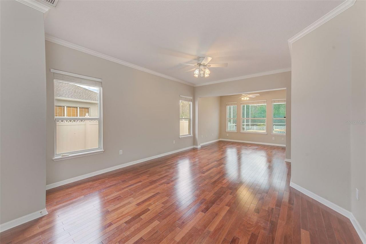 5516 Garden Arbor Drive, Lutz, FL 33558 Photo