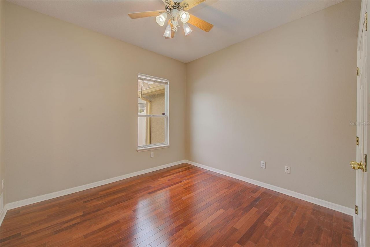 5516 Garden Arbor Drive, Lutz, FL 33558 Photo