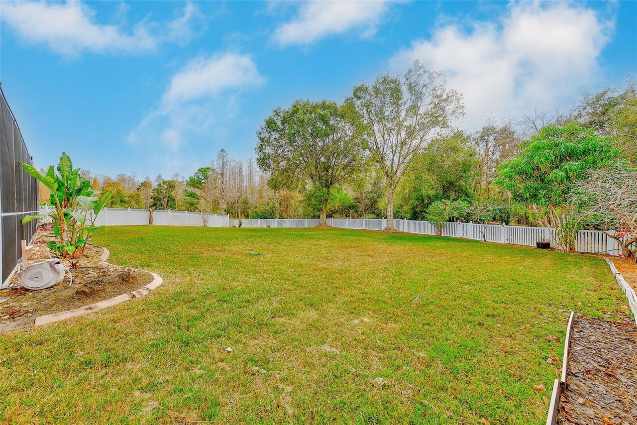 5516 Garden Arbor Drive, Lutz, FL 33558 Photo