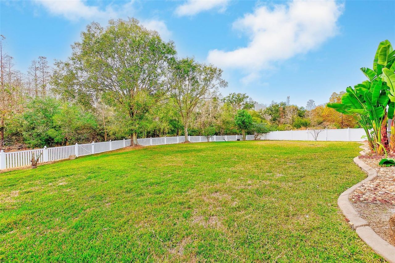 5516 Garden Arbor Drive, Lutz, FL 33558 Photo