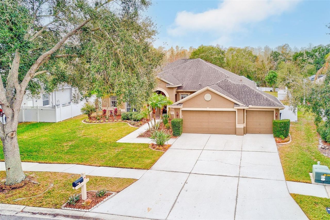 5516 Garden Arbor Drive, Lutz, FL 33558 Photo