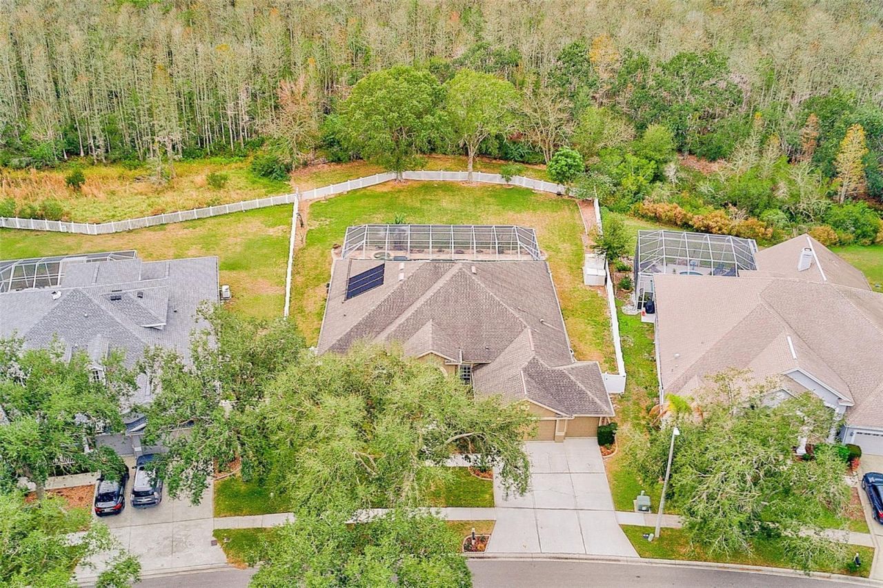 5516 Garden Arbor Drive, Lutz, FL 33558 Photo