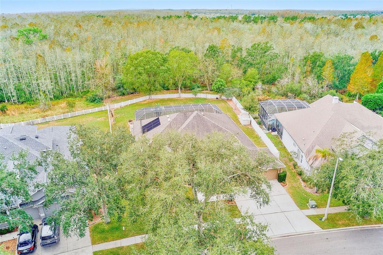 5516 Garden Arbor Drive, Lutz, FL 33558 Photo