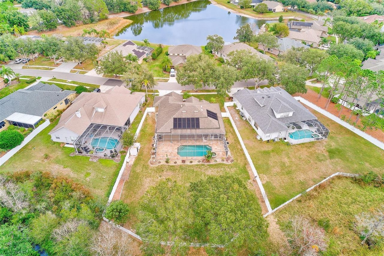 5516 Garden Arbor Drive, Lutz, FL 33558 Photo