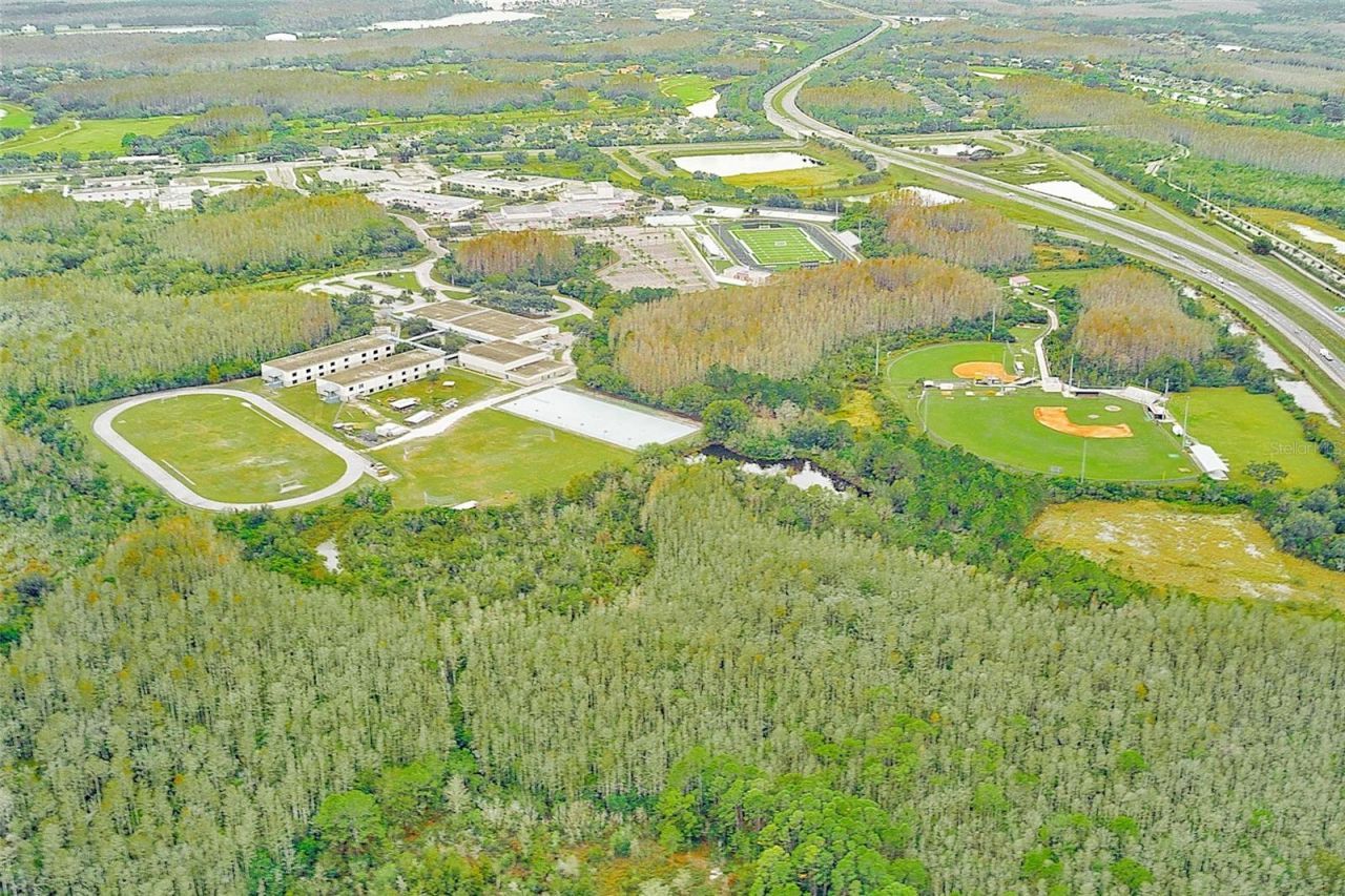 5516 Garden Arbor Drive, Lutz, FL 33558 Photo