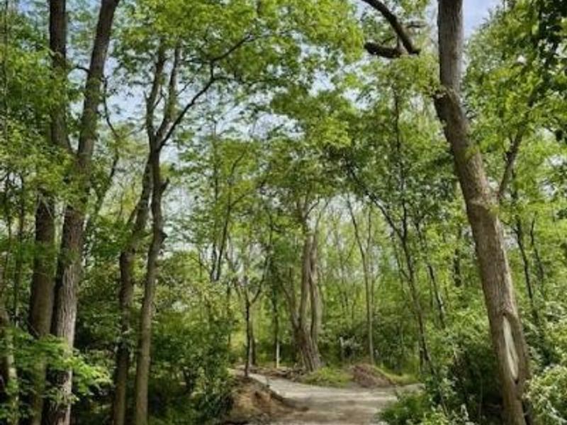 1587 Spring Valley Painters Road, Spring Valley Township, OH 45370 Photo 14