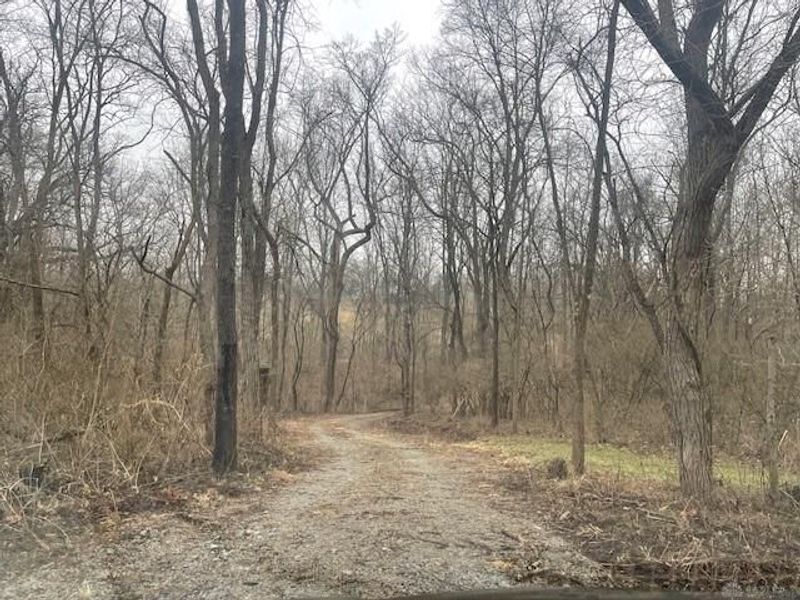 1587 Spring Valley Painters Road, Spring Valley Township, OH 45370 Photo 6