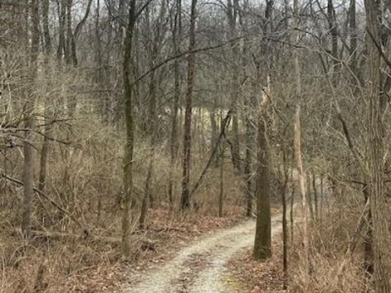 1587 Spring Valley Painters Road, Spring Valley Township, OH 45370 Photo 7