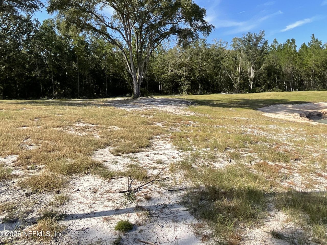 1270 County Road 241, Lulu, FL 32061 Photo