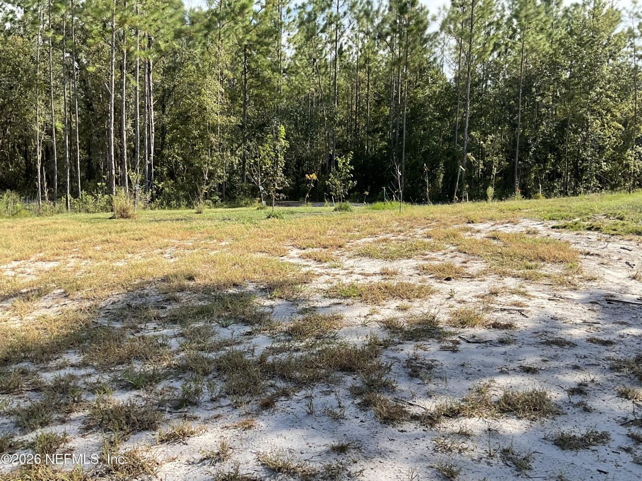 1270 County Road 241, Lulu, FL 32061 Photo