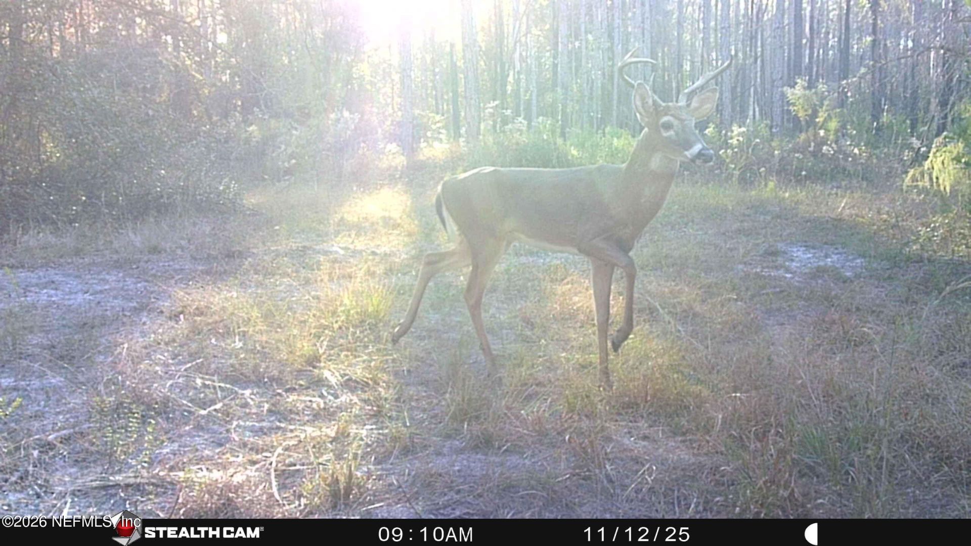 1270 County Road 241, Lulu, FL 32061 Photo