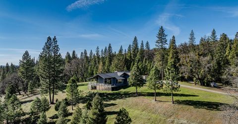 7401 Schaad Rd, Wilseyville, CA 95257 Photo