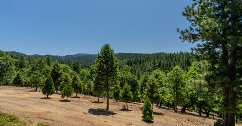 7401 Schaad Rd, Wilseyville, CA 95257 Photo