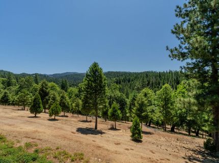 7401 Schaad Rd, Wilseyville, CA 95257 Photo