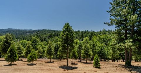 7401 Schaad Rd, Wilseyville, CA 95257 Photo