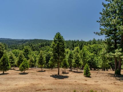 7401 Schaad Rd, Wilseyville, CA 95257 Photo