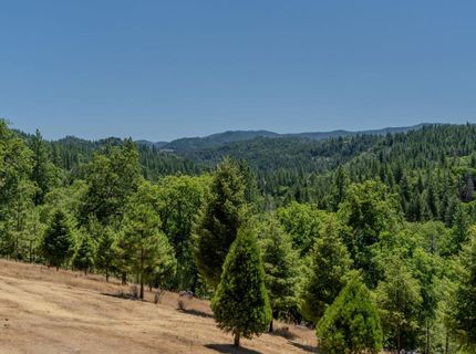 7401 Schaad Rd, Wilseyville, CA 95257 Photo