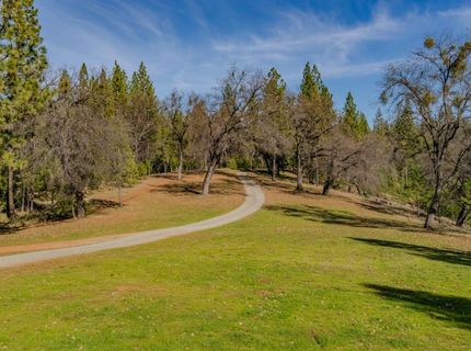 7401 Schaad Rd, Wilseyville, CA 95257 Photo