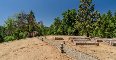 7401 Schaad Rd, Wilseyville, CA 95257 Photo