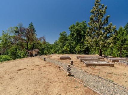 7401 Schaad Rd, Wilseyville, CA 95257 Photo