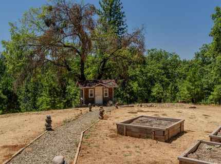 7401 Schaad Rd, Wilseyville, CA 95257 Photo