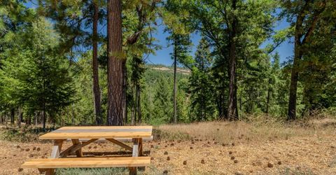 7401 Schaad Rd, Wilseyville, CA 95257 Photo