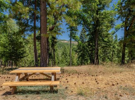 7401 Schaad Rd, Wilseyville, CA 95257 Photo
