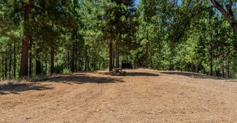 7401 Schaad Rd, Wilseyville, CA 95257 Photo