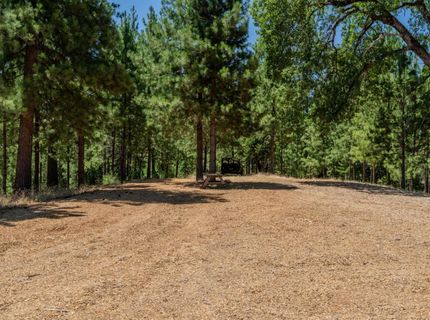7401 Schaad Rd, Wilseyville, CA 95257 Photo