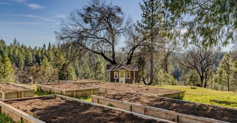 7401 Schaad Rd, Wilseyville, CA 95257 Photo