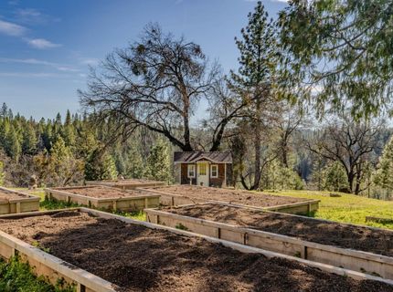 7401 Schaad Rd, Wilseyville, CA 95257 Photo