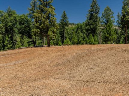 7401 Schaad Rd, Wilseyville, CA 95257 Photo