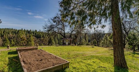 7401 Schaad Rd, Wilseyville, CA 95257 Photo
