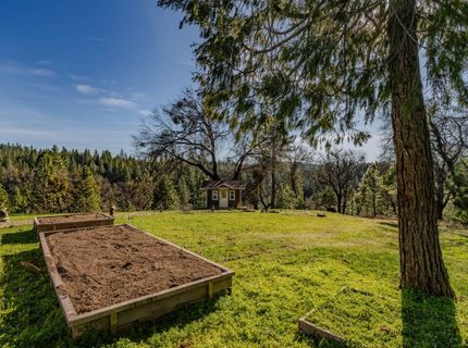 7401 Schaad Rd, Wilseyville, CA 95257 Photo